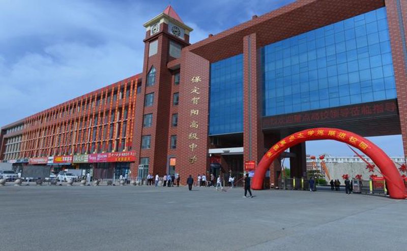 保定府阳粮油