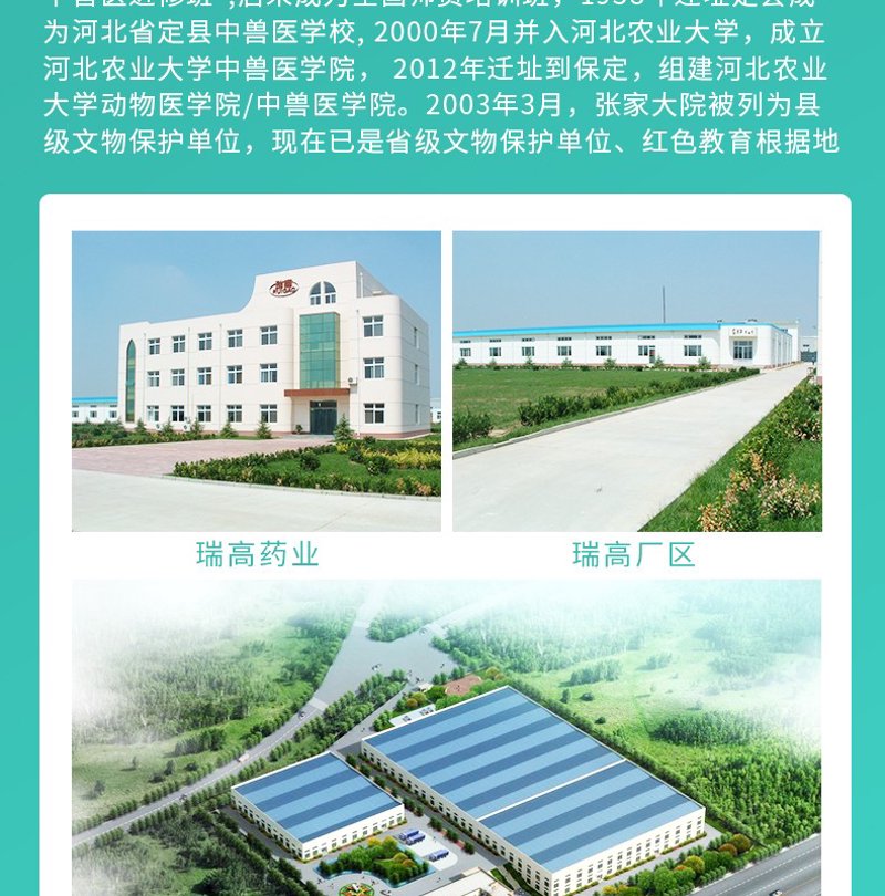 保定大米市场最新动态：批发新趋势