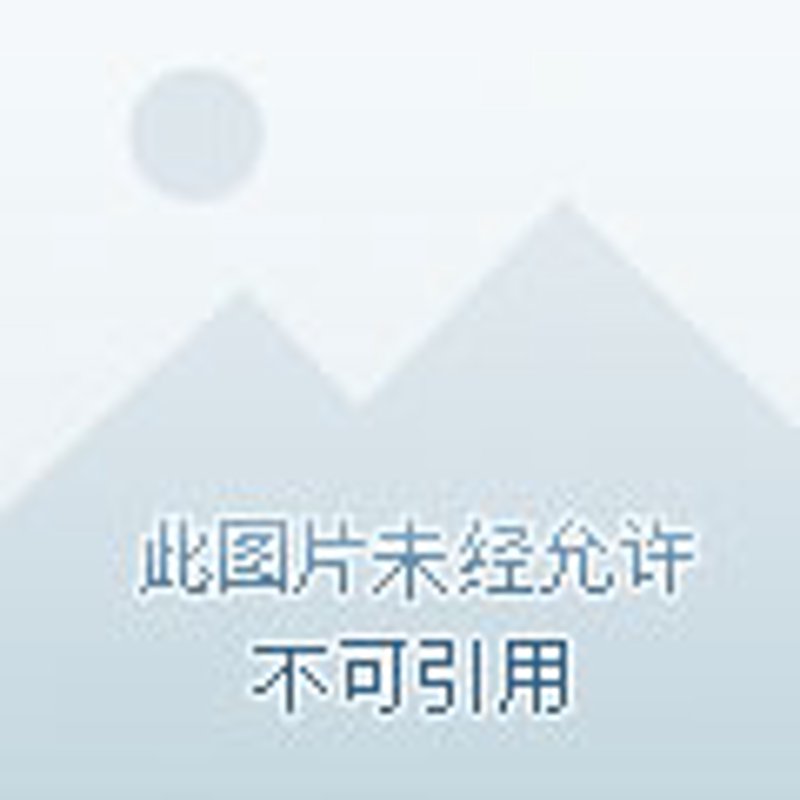 粮油供应市场现状与前景分析